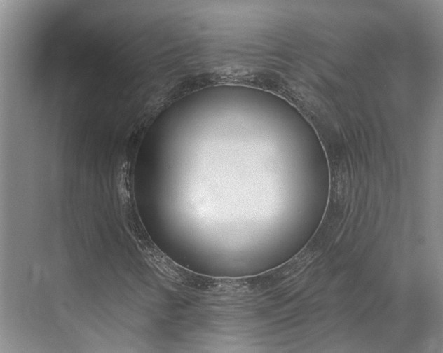 X0000073521346200608140949