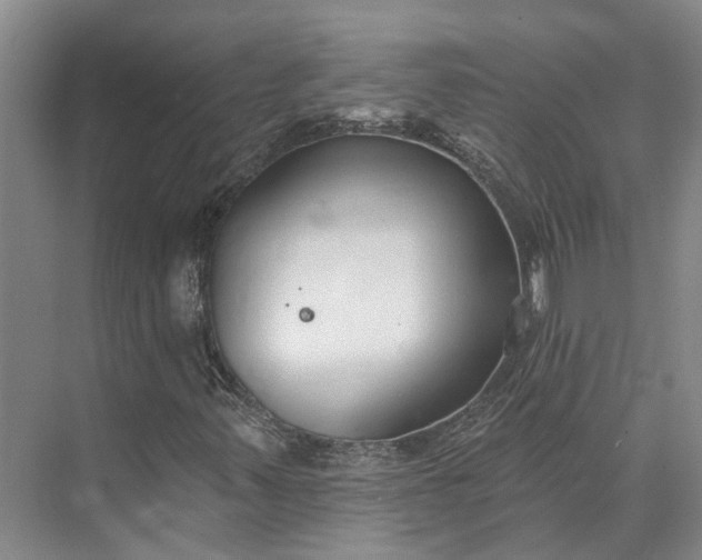 X0000073521347200608140949