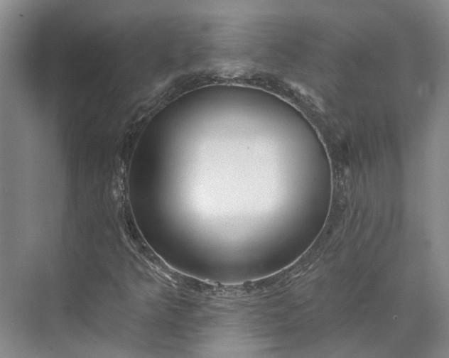 X0000073521349200608140949