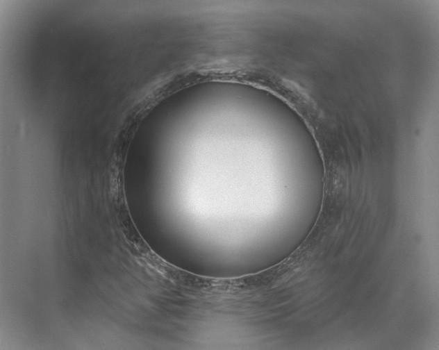 X0000073521350200608140949