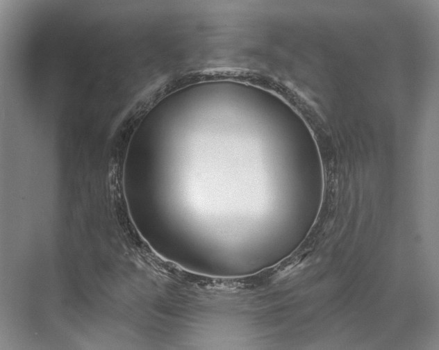 X0000073521351200608140949