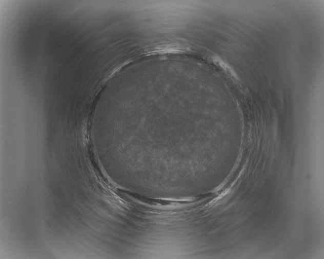 X0000073521353200608140949