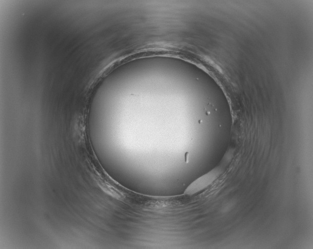 X0000073521355200608140949