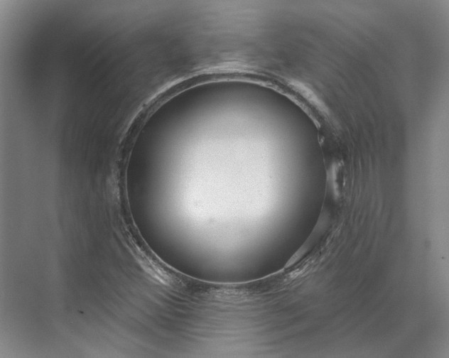 X0000073521356200608140949