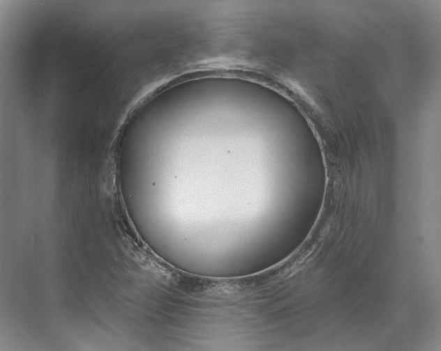 X0000073521358200608140949