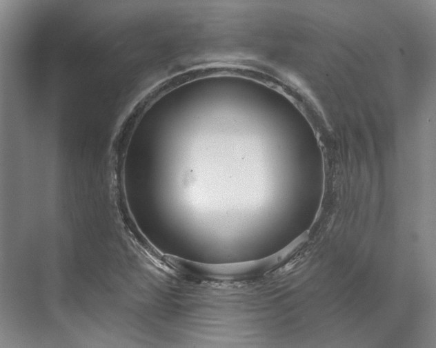 X0000073521360200608140949