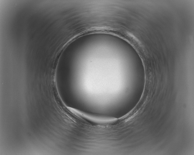 X0000073521361200608140949