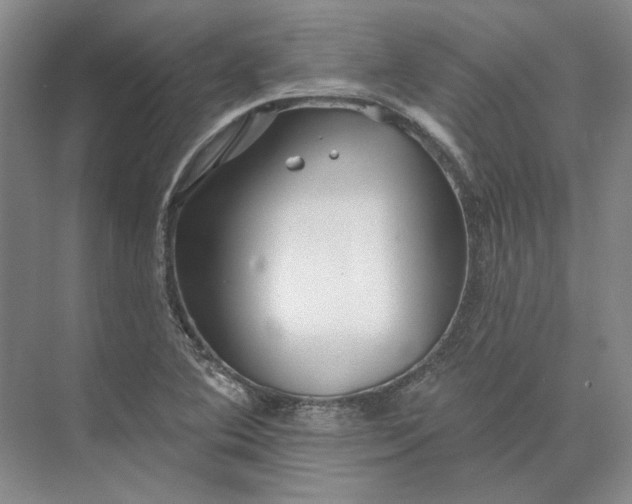 X0000073521364200608140949