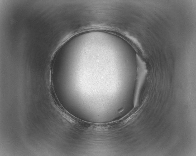 X0000073521365200608140949