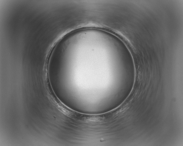 X0000073521367200608140949