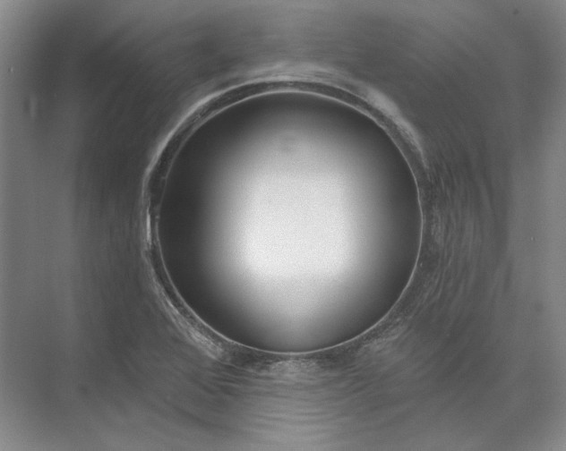 X0000073521368200608140949