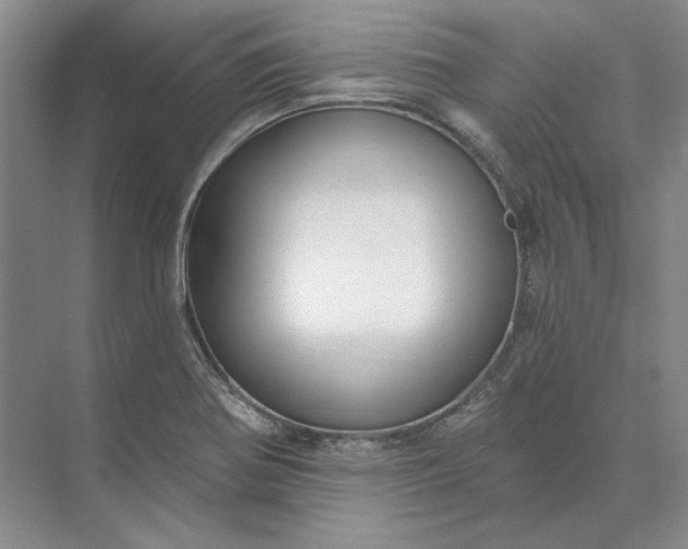 X0000073521370200608140949