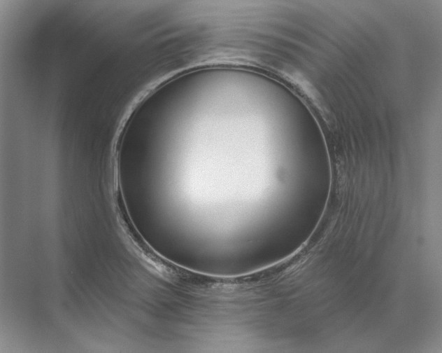 X0000073521371200608140949