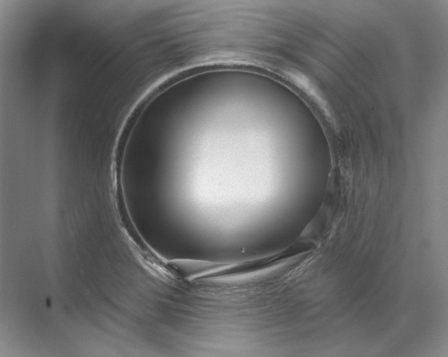 X0000073521372200608140949