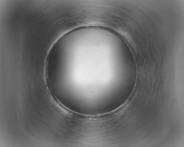 X0000073521374200608140949