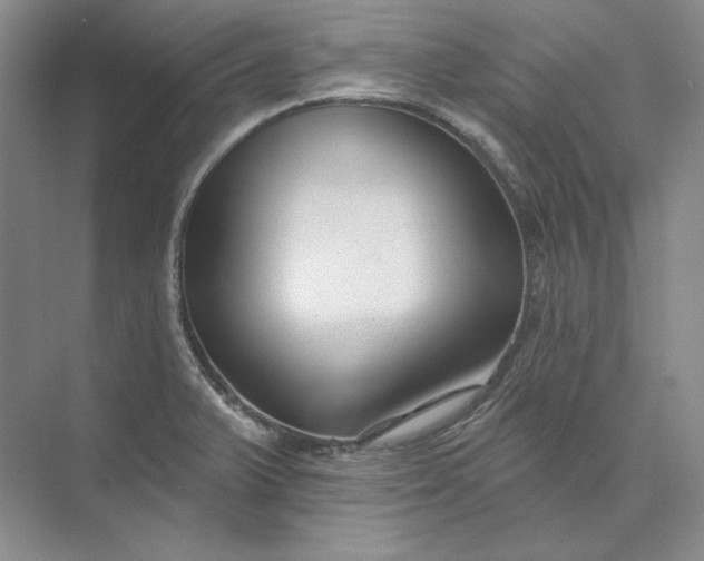 X0000073521375200608140949