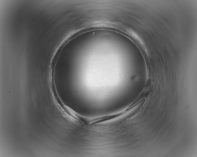 X0000073521376200608140949