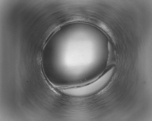 X0000073521377200608140949