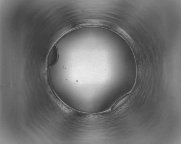 X0000073521378200608140949