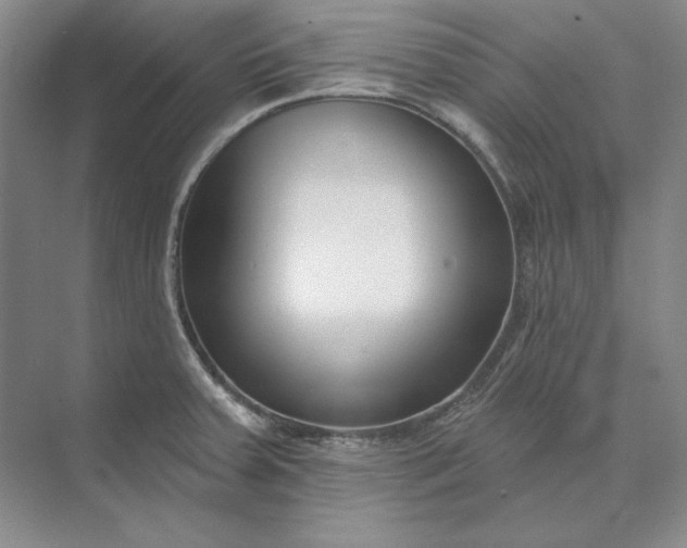 X0000073521379200608140949