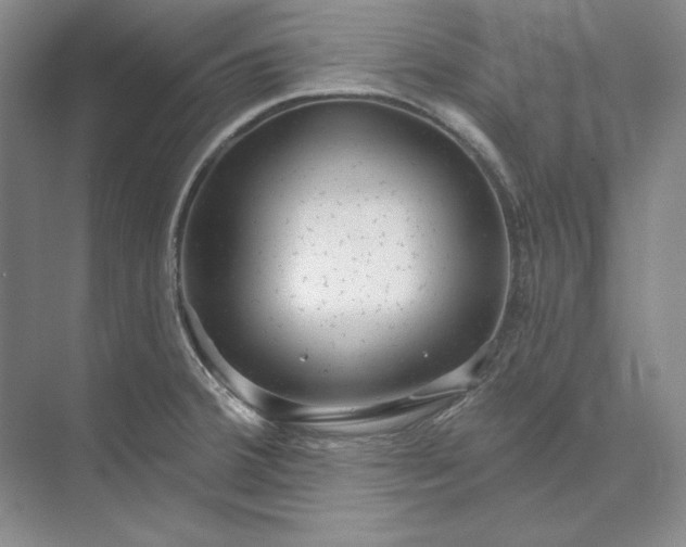 X0000073521380200608140949