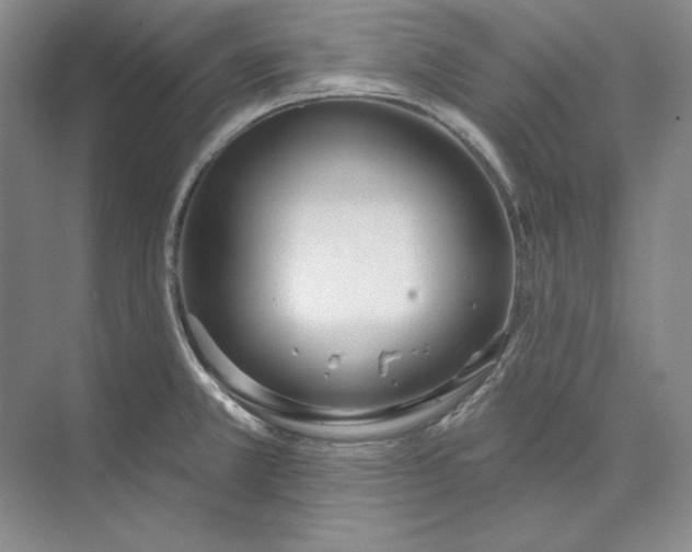 X0000073521381200608140949