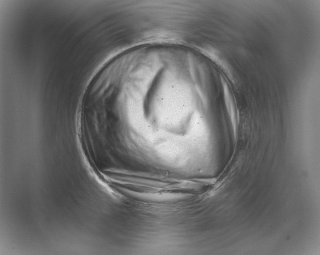 X0000073521383200608140949