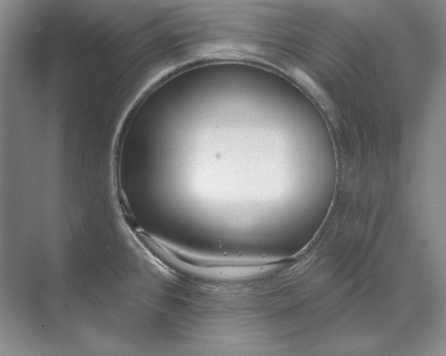 X0000073521384200608140949