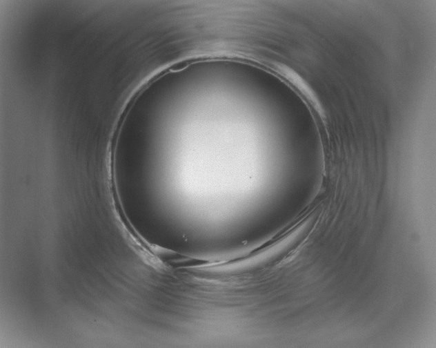 X0000073521388200608140949