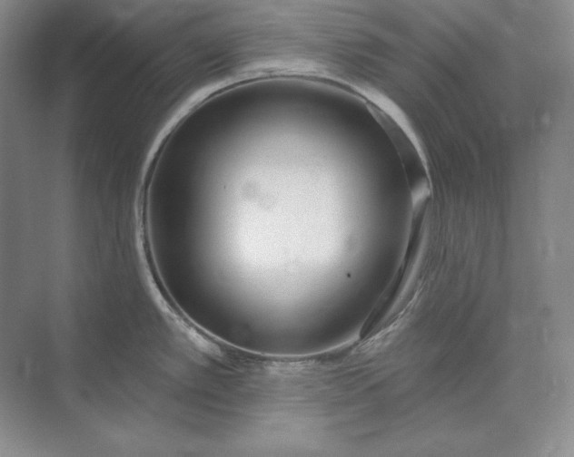 X0000073521389200608140949