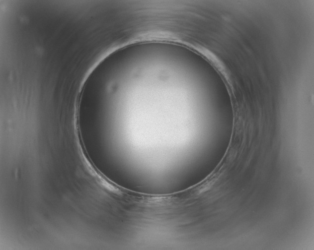 X0000073521390200608140949