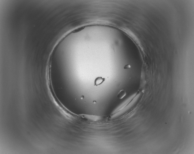 X0000073521391200608140949