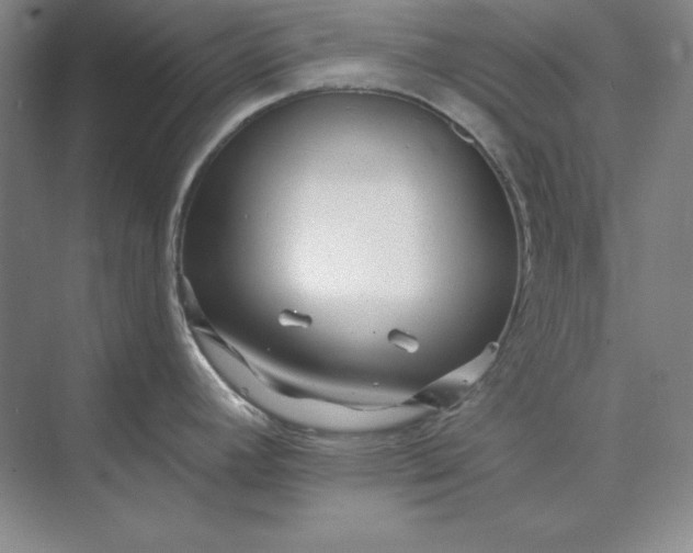 X0000073521392200608140949