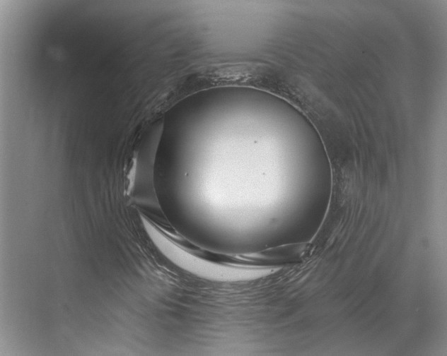 X0000073521394200608140948