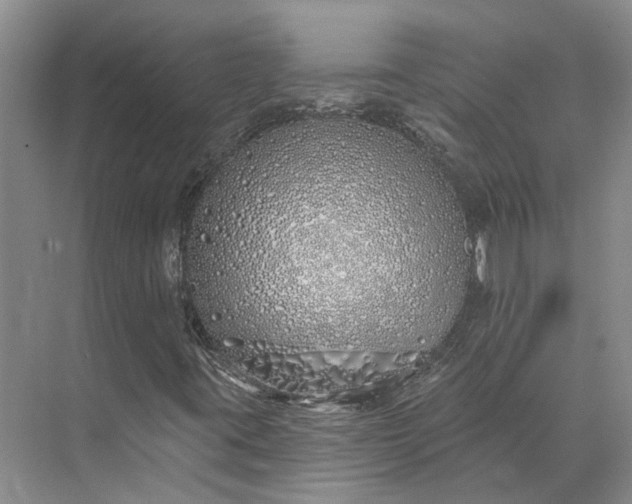 X0000073521395200608140948