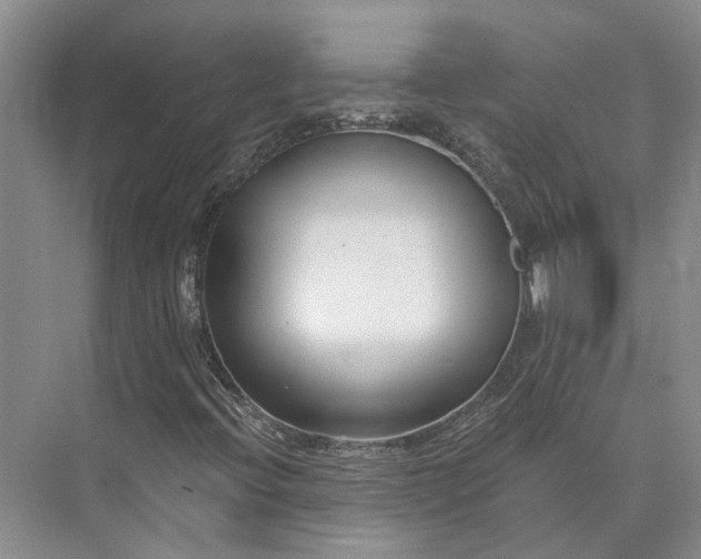 X0000073521396200608140948