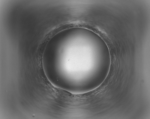 X0000073521398200608140948