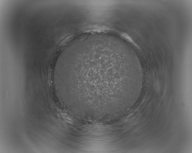 X0000073521399200608140948