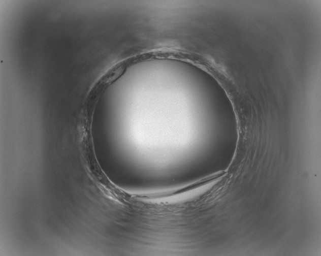 X0000073521400200608140948