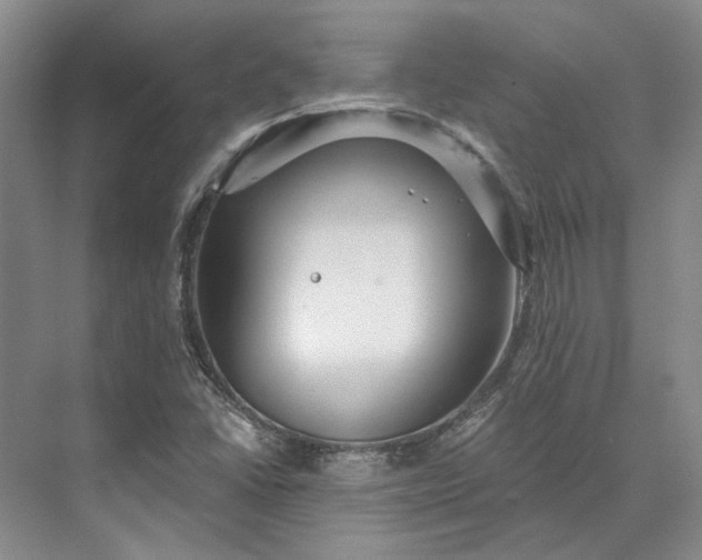 X0000073521406200608140948