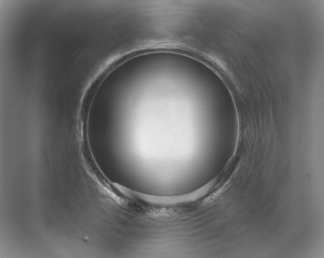 X0000073521414200608140948