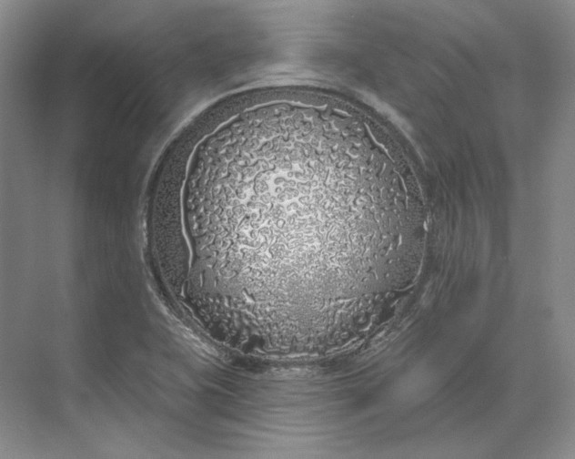 X0000073521415200608140948