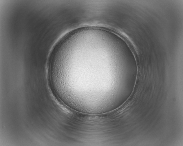 X0000073521416200608140948