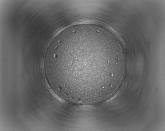 X0000073521417200608140948