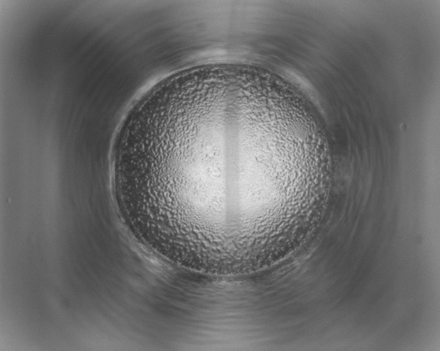 X0000073521419200608140948