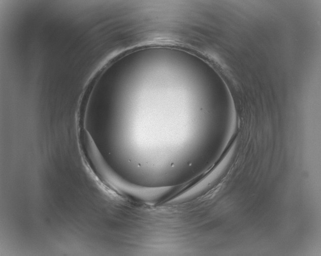 X0000073521422200608140948