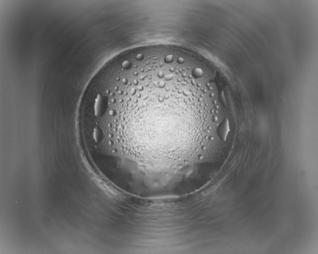 X0000073521423200608140948