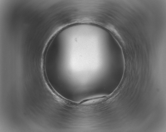 X0000073521424200608140948