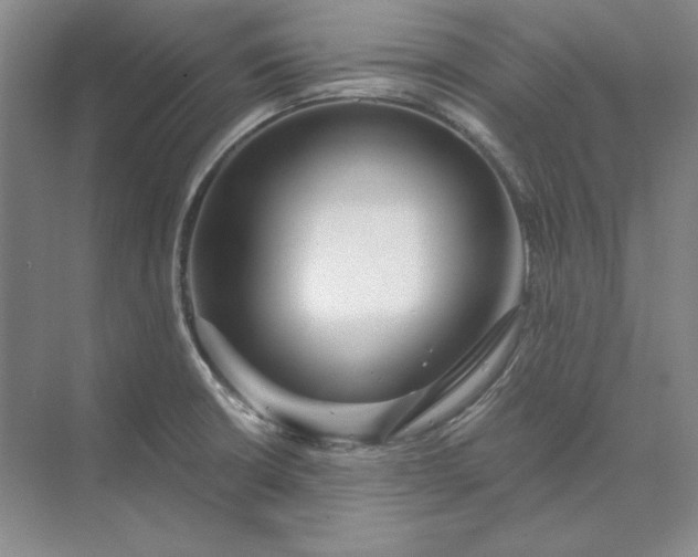 X0000073521426200608140948