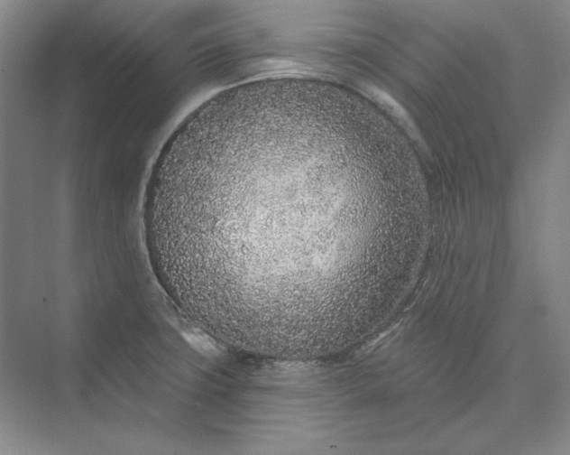 X0000073521427200608140948